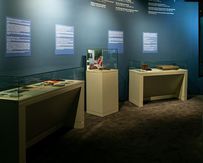 12 августа в музее открылась выставка «Минувших лет живая память», посвященная 75-летию Победы