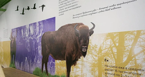 «Лучшие мамы среди животных». Музейное занятие