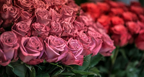 Благодарственными письмами наградили создателей выставки «Свет между мирами»