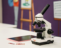 «Зоопарк в капле из пруда». Музейное занятие