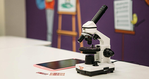 «Зоопарк в капле из пруда». Музейное занятие