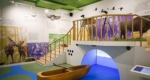 «Стань следопытом». Обзорная экскурсия по «Экспонариуму», мастер-класс на выбор, памятный сувенир, сертификат участника. БЕСТСЕЛЛЕР!