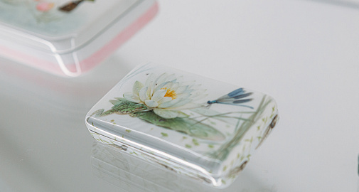 «Флористические артефакты». Музейное занятие