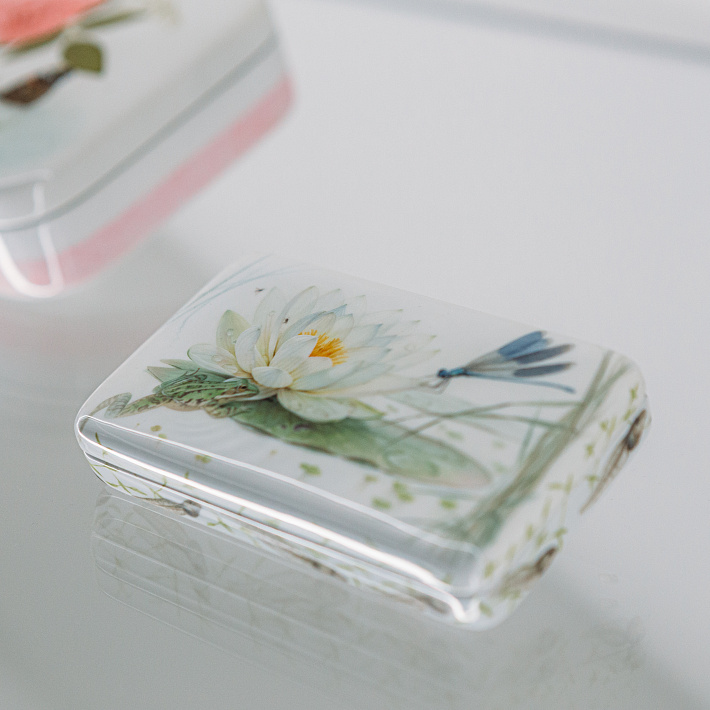 «Флористические артефакты». Музейное занятие